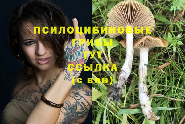 mix Покачи