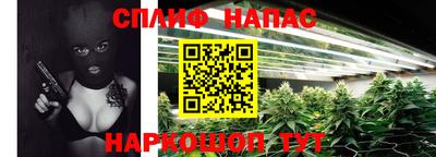 прущие грибы Дмитров