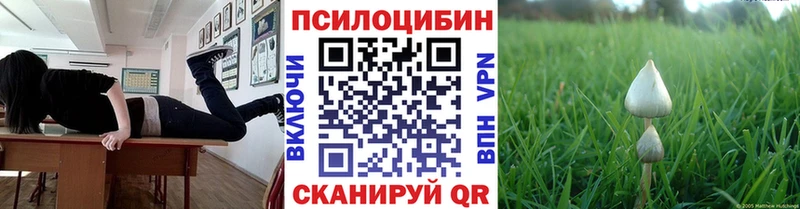 Псилоцибиновые грибы GOLDEN TEACHER  Котовск 