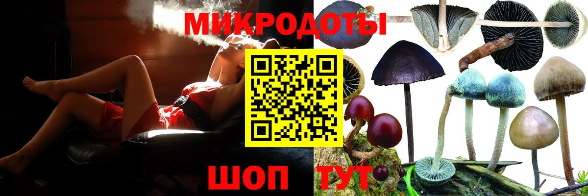 Галлюциногенные грибы Cubensis Котовск
